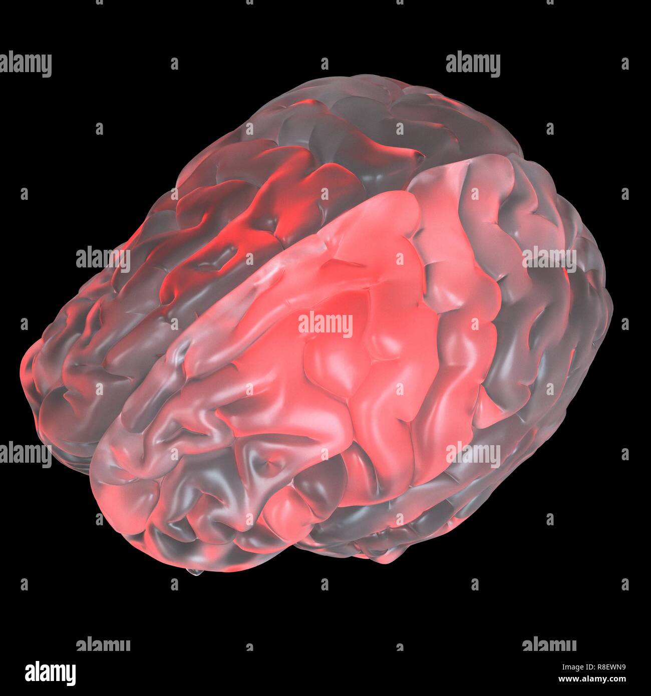 Illustration of a red glowing glass brain. Stock Photo