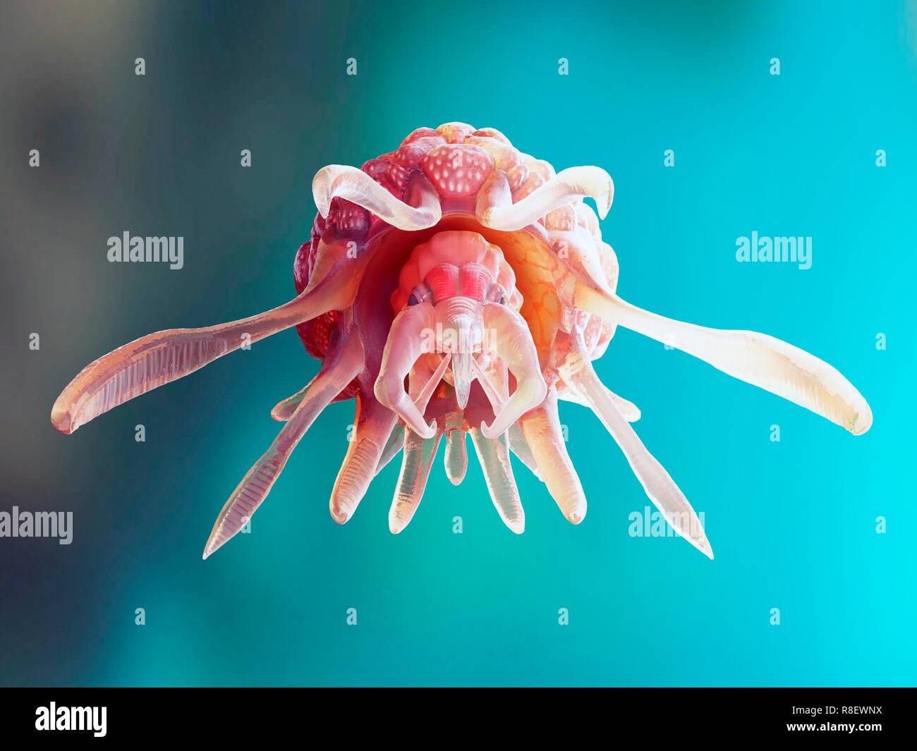 Illustration of a conceptual cancer monster. Stock Photo