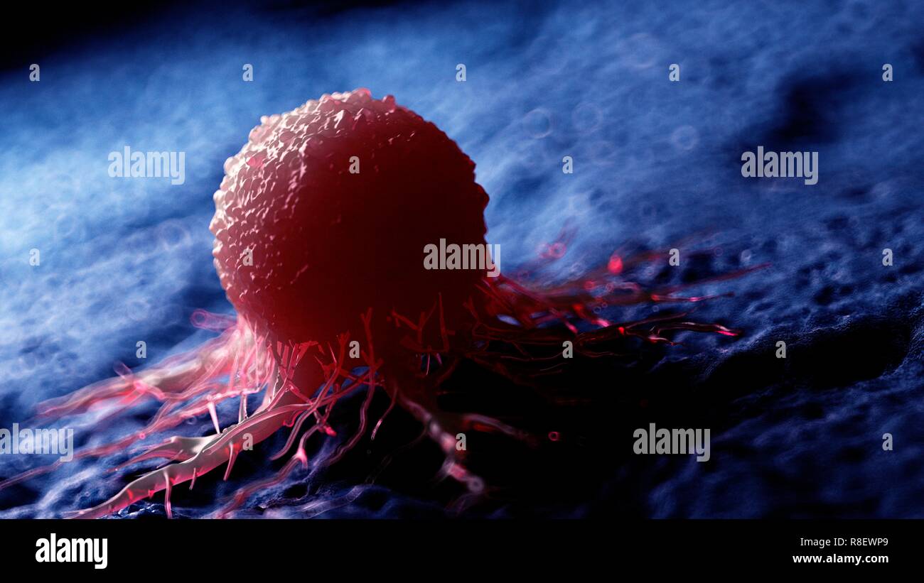 Illustration of a cancer cell Stock Photo - Alamy