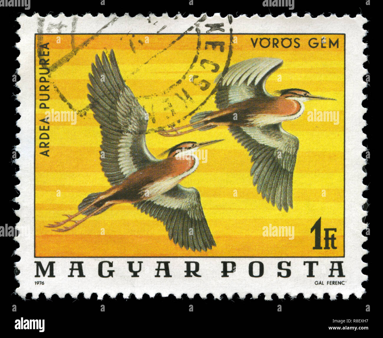 Postage stamp from Hungary in the Birds from Hortobágy National Park series issued in 1977 Stock Photo