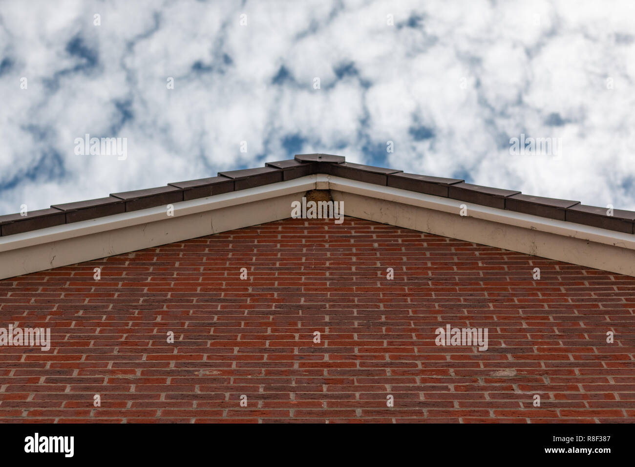 Birds nest in the roof apex of a house Stock Photo Alamy
