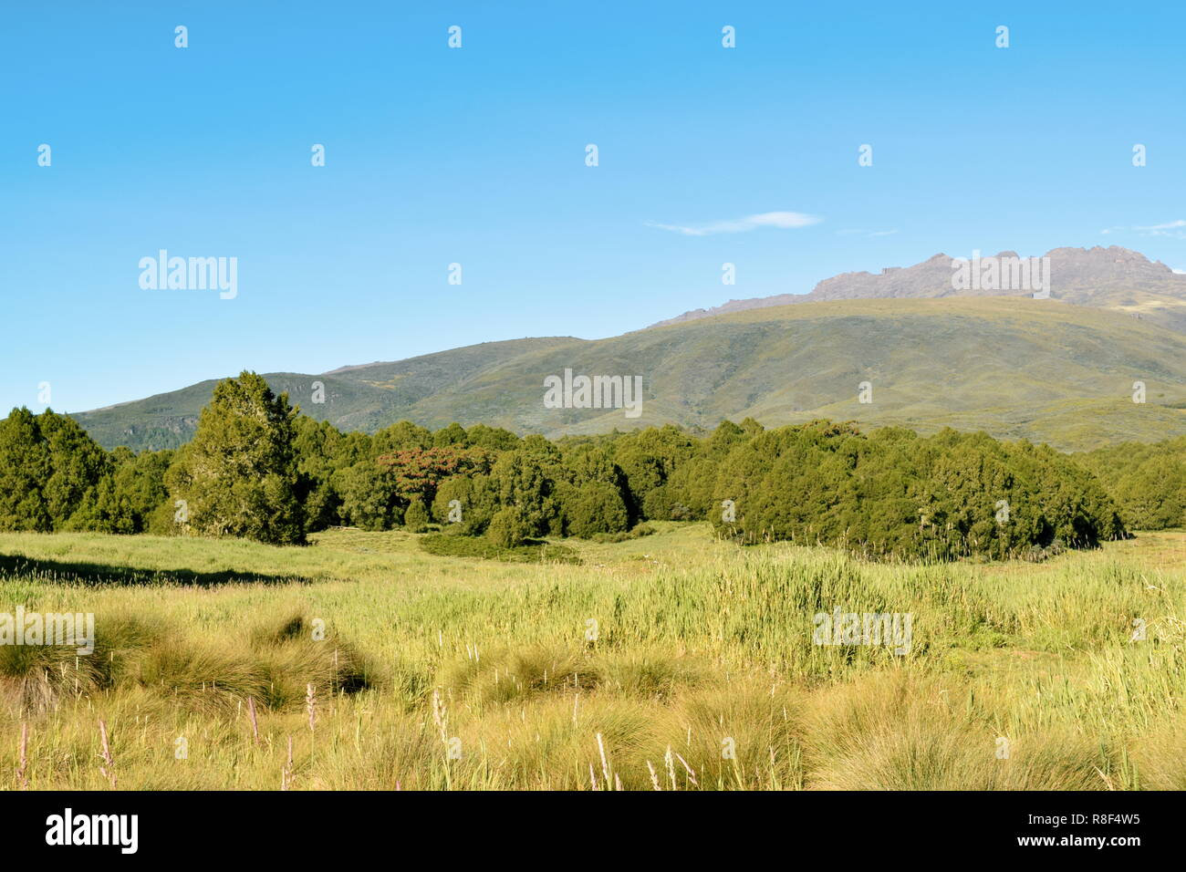 Batian Routes Batian Peak, Mount Kenya's highest peak seen from Chogoria Route, Mount ...