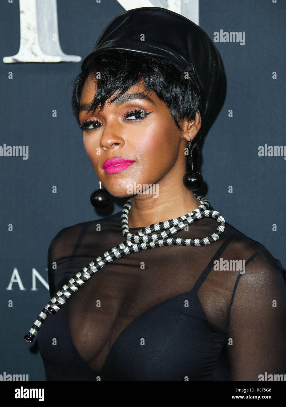 WESTWOOD, LOS ANGELES, CA, USA - FEBRUARY 13: Janelle Monae at the Los Angeles Premiere Of Paramount Pictures' 'Annihilation' held at the Regency Village Theatre on February 13, 2018 in Westwood, Los Angeles, California, United States. (Photo by Xavier Collin/Image Press Agency) Stock Photo