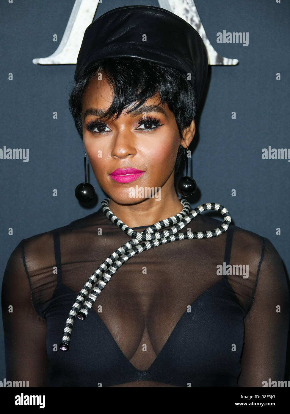 WESTWOOD, LOS ANGELES, CA, USA - FEBRUARY 13: Janelle Monae at the Los Angeles Premiere Of Paramount Pictures' 'Annihilation' held at the Regency Village Theatre on February 13, 2018 in Westwood, Los Angeles, California, United States. (Photo by Xavier Collin/Image Press Agency) Stock Photo