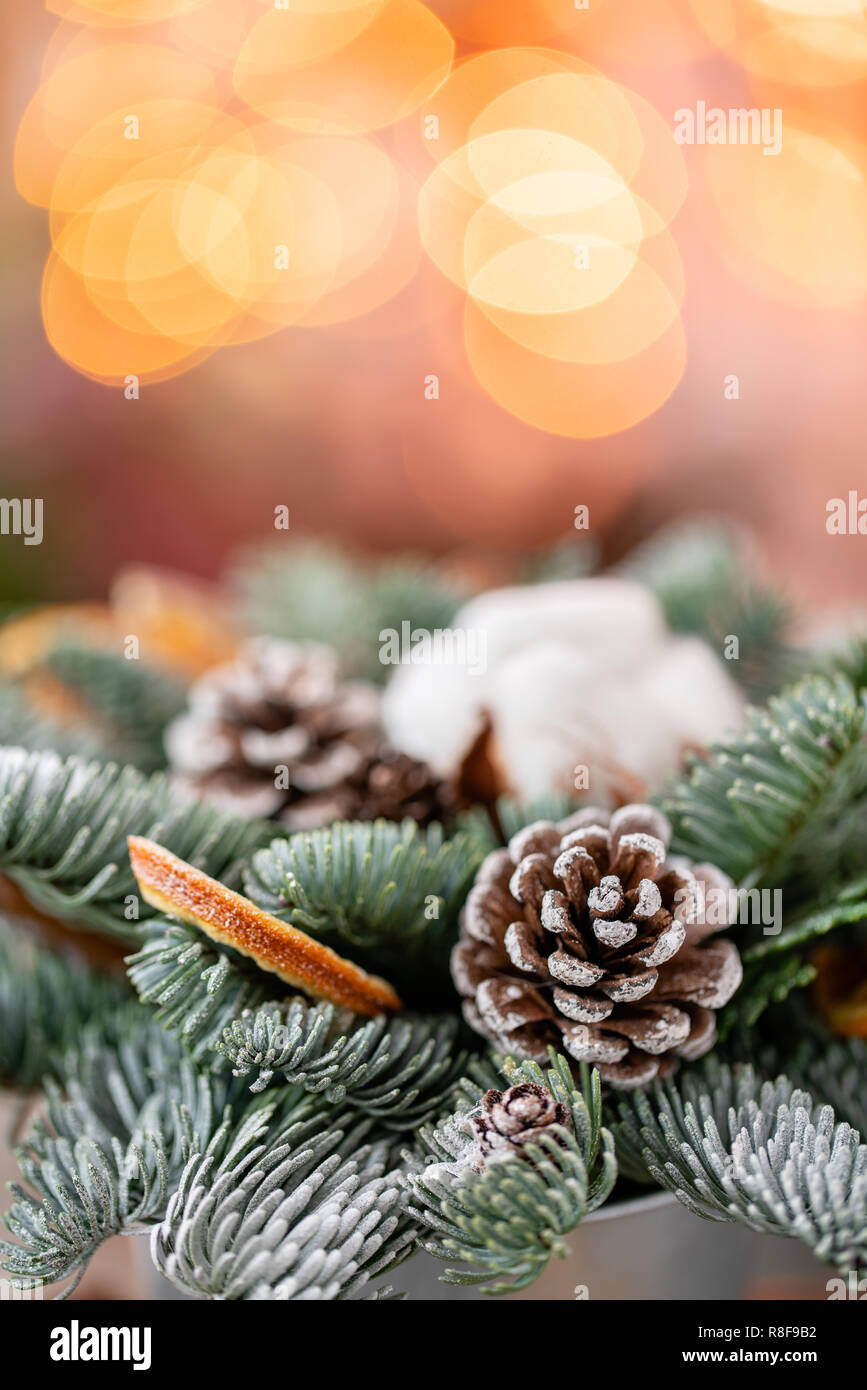 Christmas Arrangement With Norwegian Pine Nobilis And Decorated