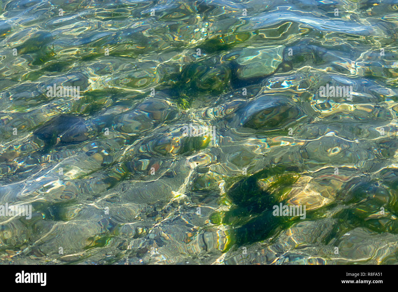 shiny teal and gold reflections in water Stock Photo - Alamy