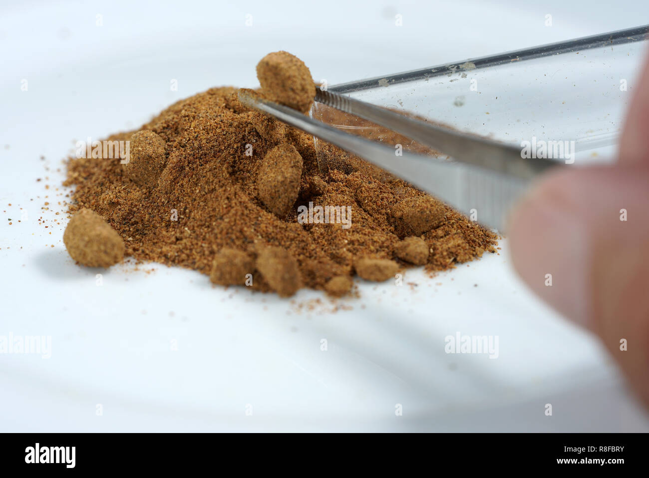 The dried, yellow-brown resin granules have been used for millennia, especially in Yemen, Ethiopia, Sudan and Somalia. Stock Photo