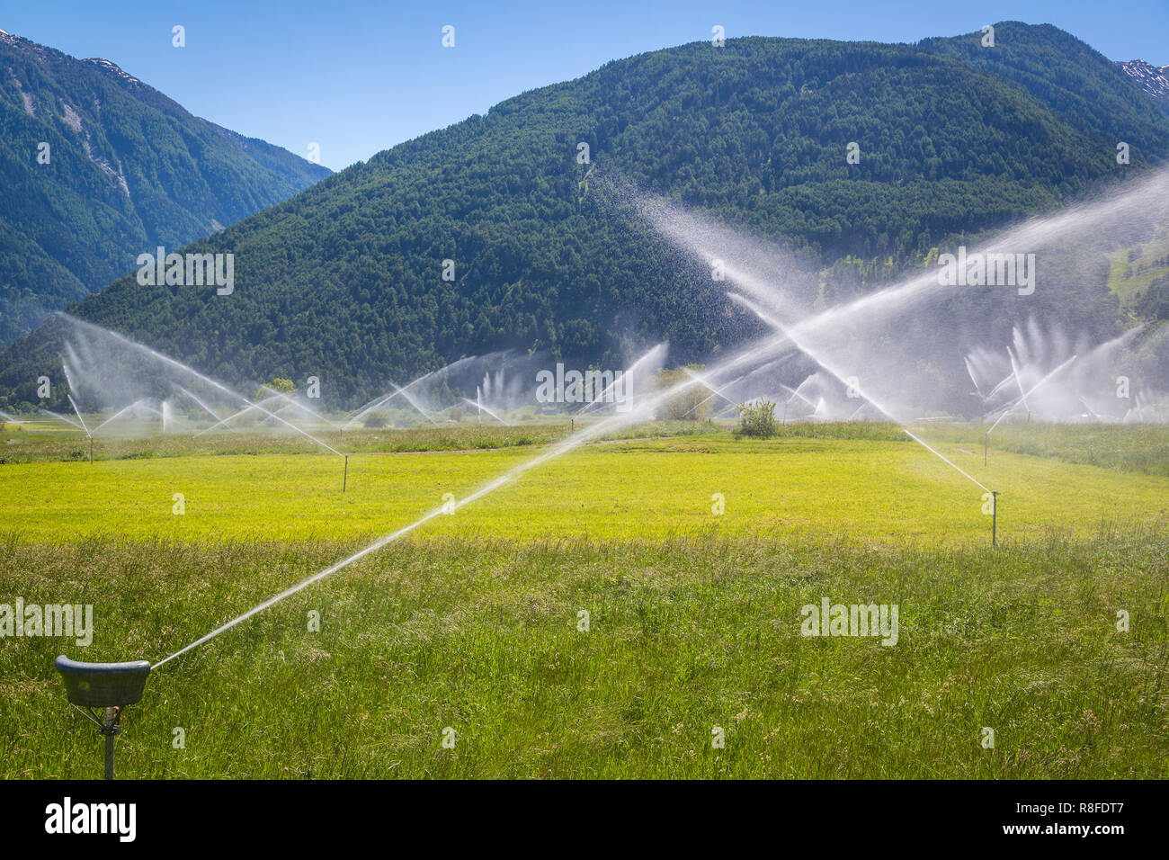 Bewässerung zwischen Burgeis und Mals in Südtirol, Italien Stock Photo