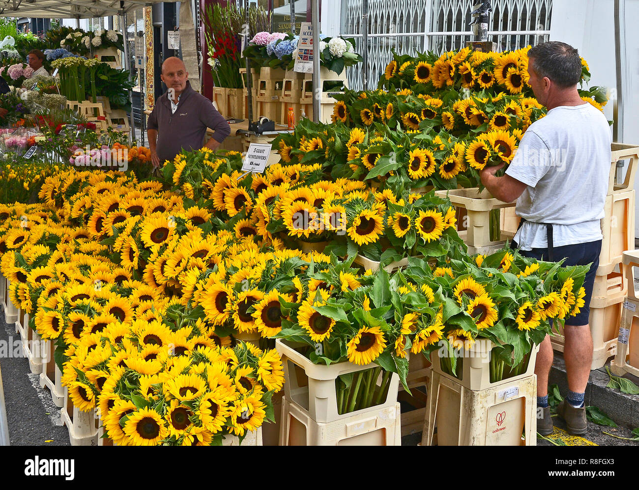 SUNDAY FLOWER MARKET, COLUMBIA ROAD, BETHNAL GREEN,TOWER HAMLETS, EAST