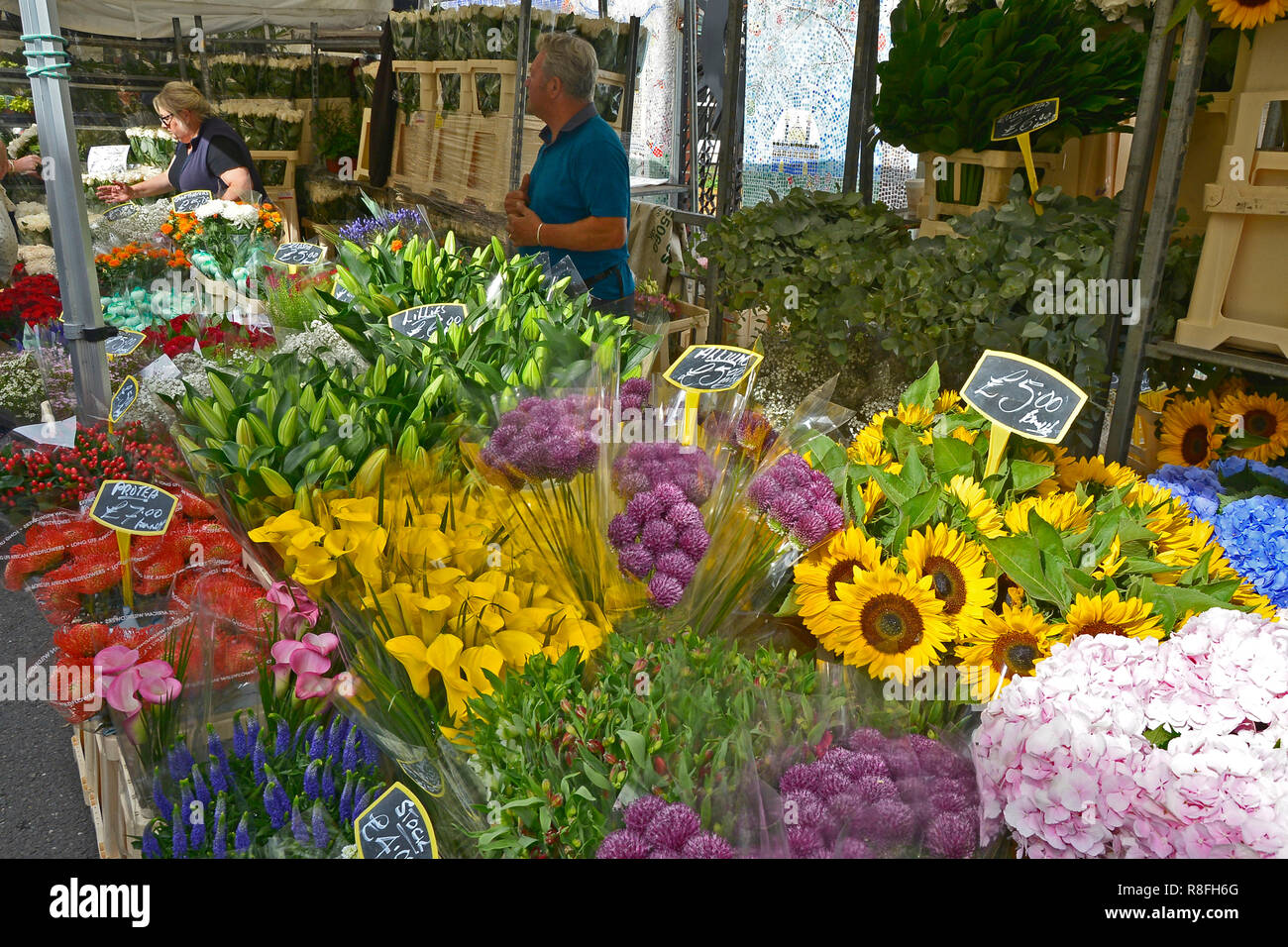 SUNDAY FLOWER MARKET, COLUMBIA ROAD, BETHNAL GREEN,TOWER HAMLETS, EAST