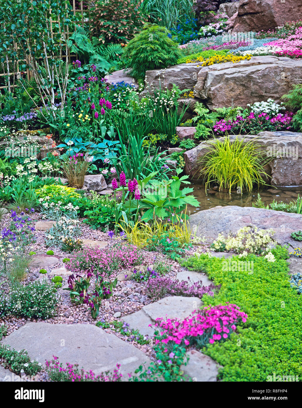 Colourful alpine Rockery and waterfall for a country garden Stock Photo
