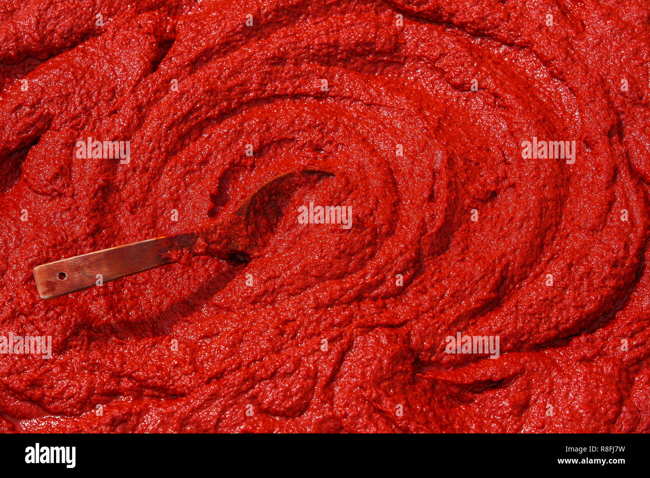 Homemade tomato paste, drying in the sun Stock Photo Alamy