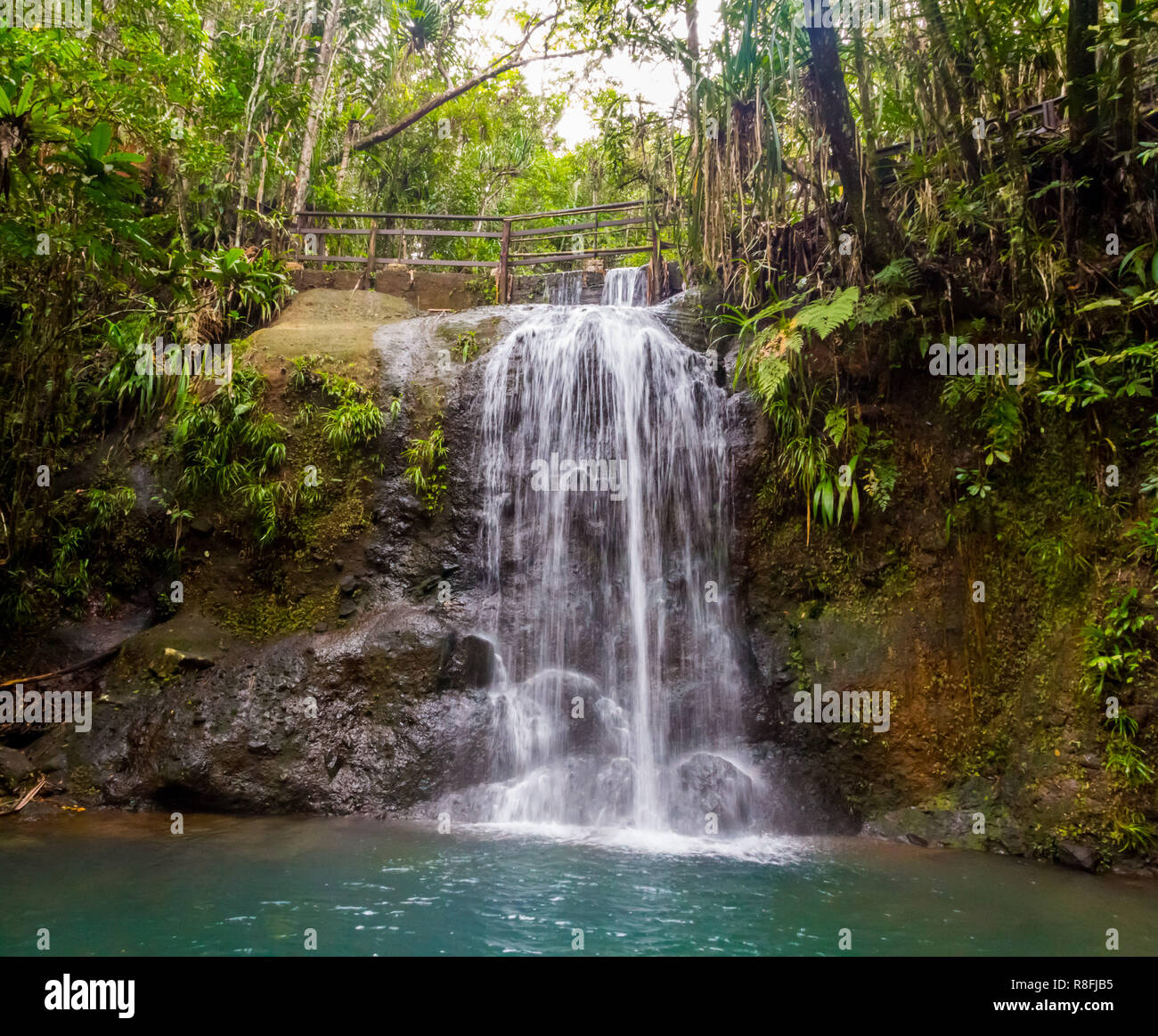 brochure band eksistens A hiking trail near a waterfall in Colo-i-Suva rain forest national park,  nature reserve near Suva, Viti Levu island, Fiji, Melanesia, Oceania Stock  Photo - Alamy