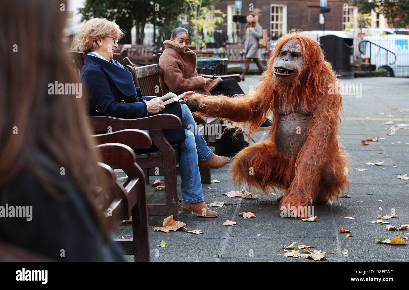 An Ultra Realistic Animatronic Orangutan Appears In Oxford Street London To Highlight The Threat To The