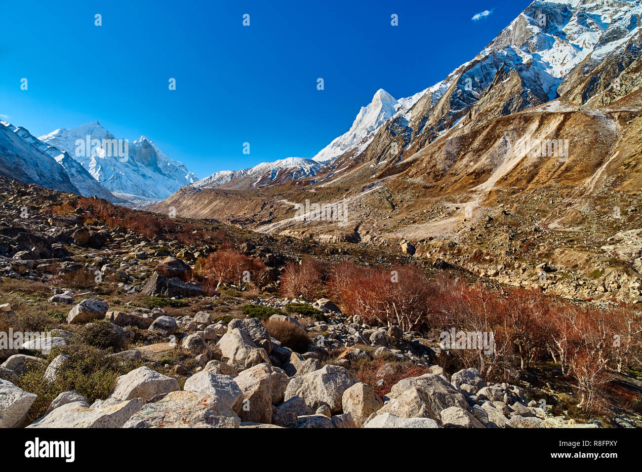 Mountain range gaumukh india hi-res stock photography and images