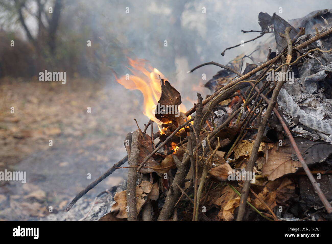 Burning leafs in autumn, making place for spring Stock Photo
