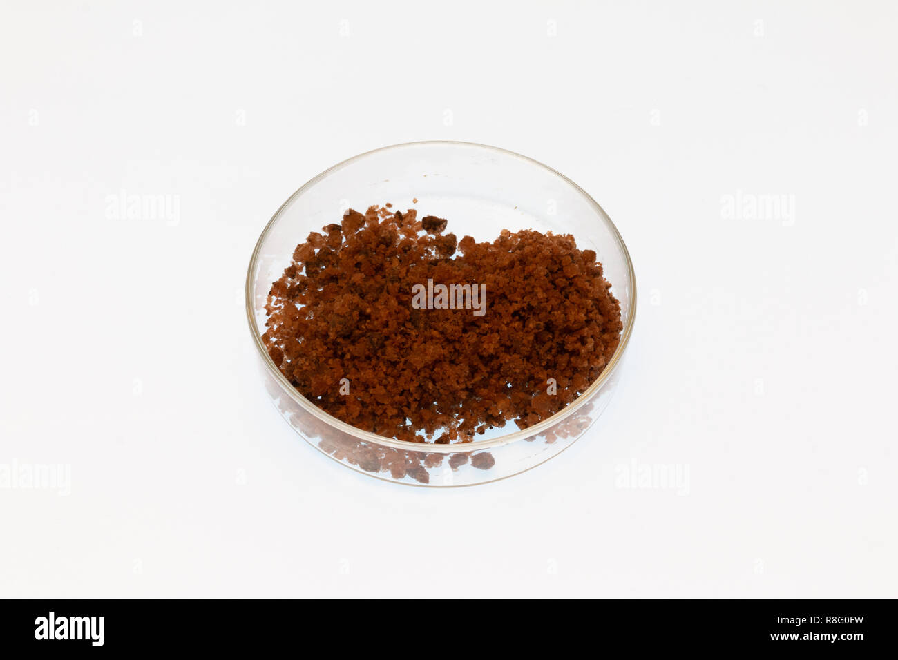 Glass petri dish containing natural rock salt, on a white background Stock Photo
