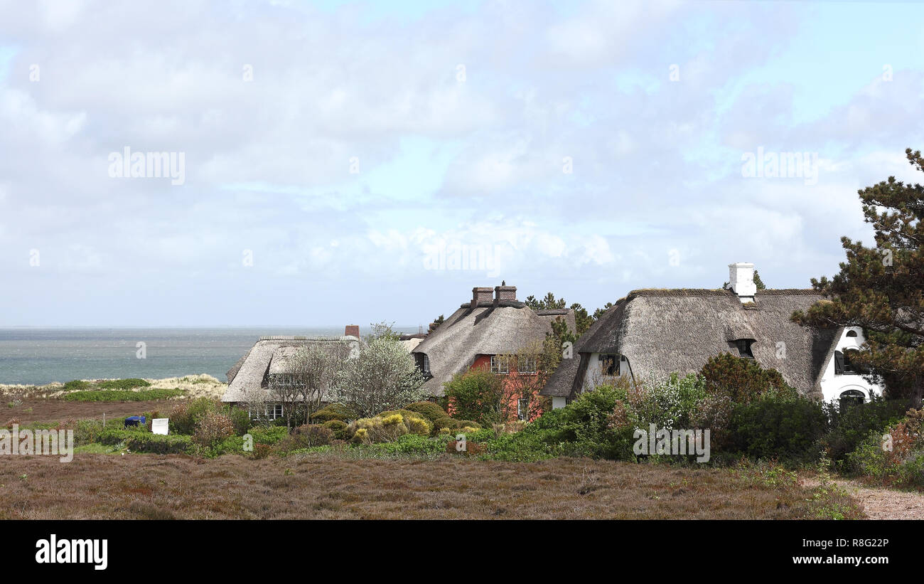 Thatched roof houses in the Braderup Heath on the island of Sylt Stock Photo