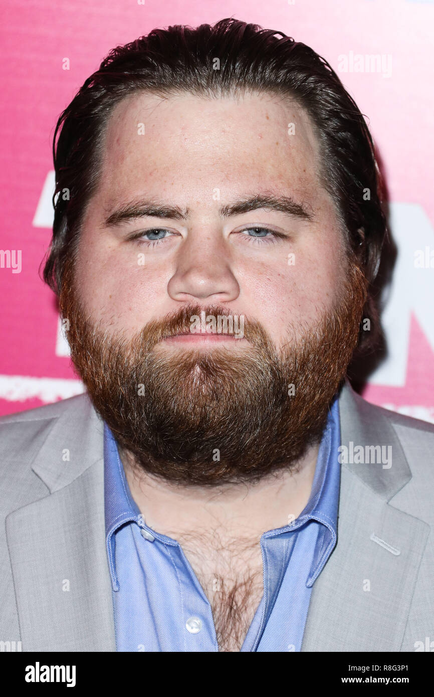 HOLLYWOOD, LOS ANGELES, CA, USA - DECEMBER 05: Paul Walter Hauser at ...