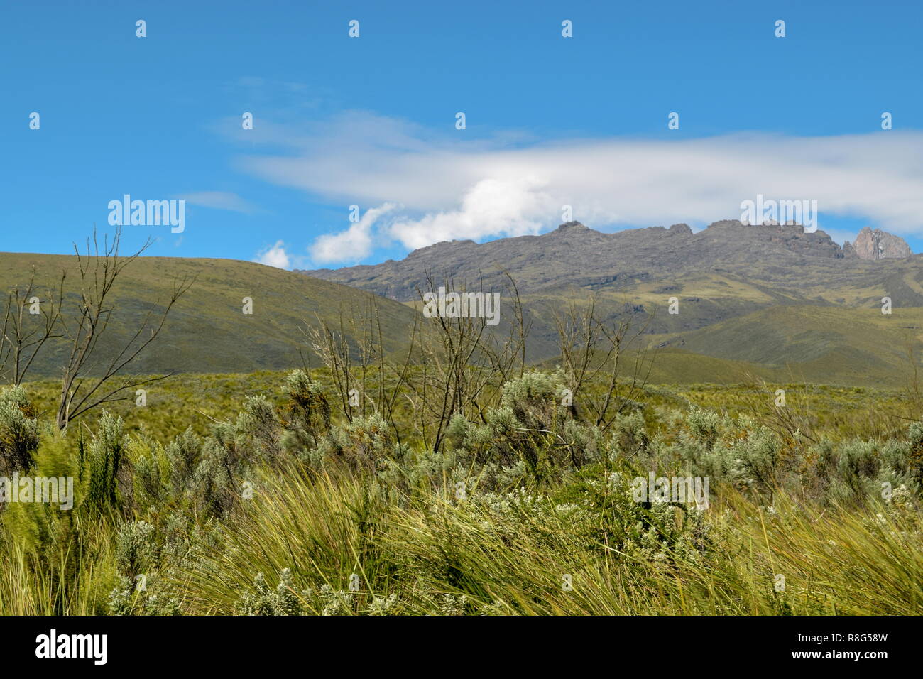 Batian Routes Batian Peak, Mount Kenya's highest peak seen from Chogoria Route, Mount ...