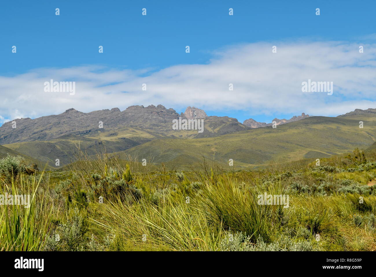 Batian Routes Batian Peak, Mount Kenya's highest peak seen from Chogoria Route, Mount ...