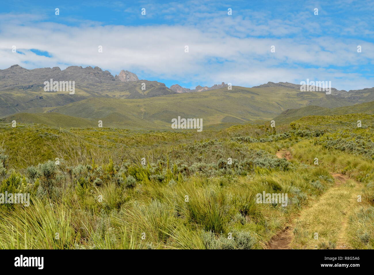 Batian Routes Batian Peak, Mount Kenya's highest peak seen from Chogoria Route, Mount ...