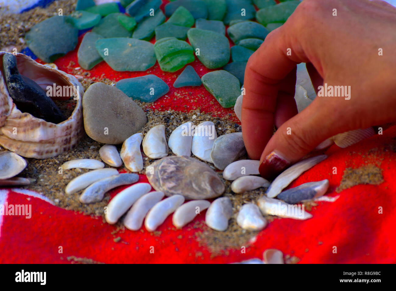 Red Color Beach Shell Sea shells - a variety of sea shells from the beach. Shells, sea ...
