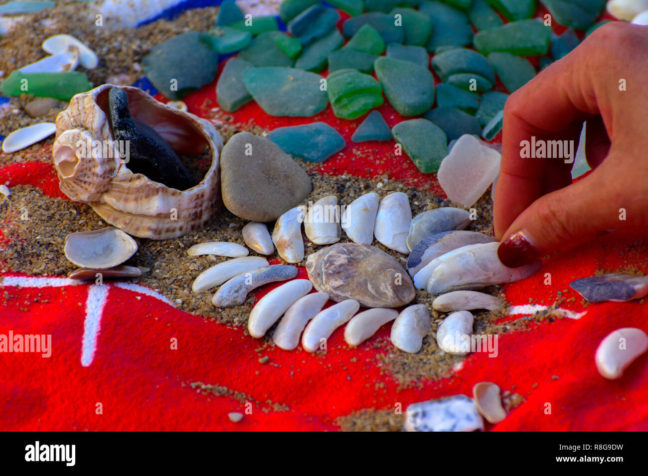 Red Color Beach Shell Sea shells - a variety of sea shells from the beach. Shells, sea ...