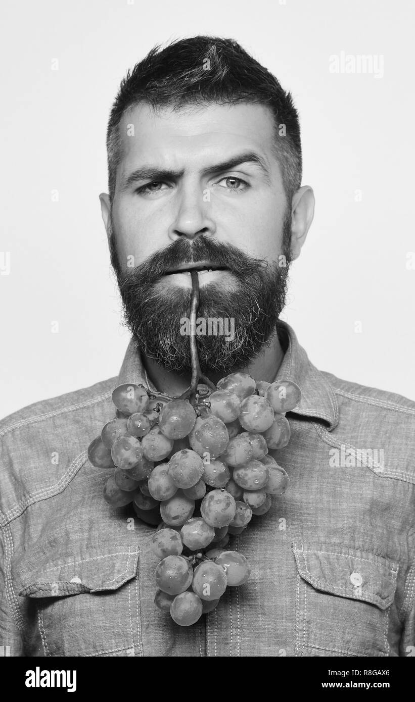 Man with beard holds bunch of green grapes isolated on white background