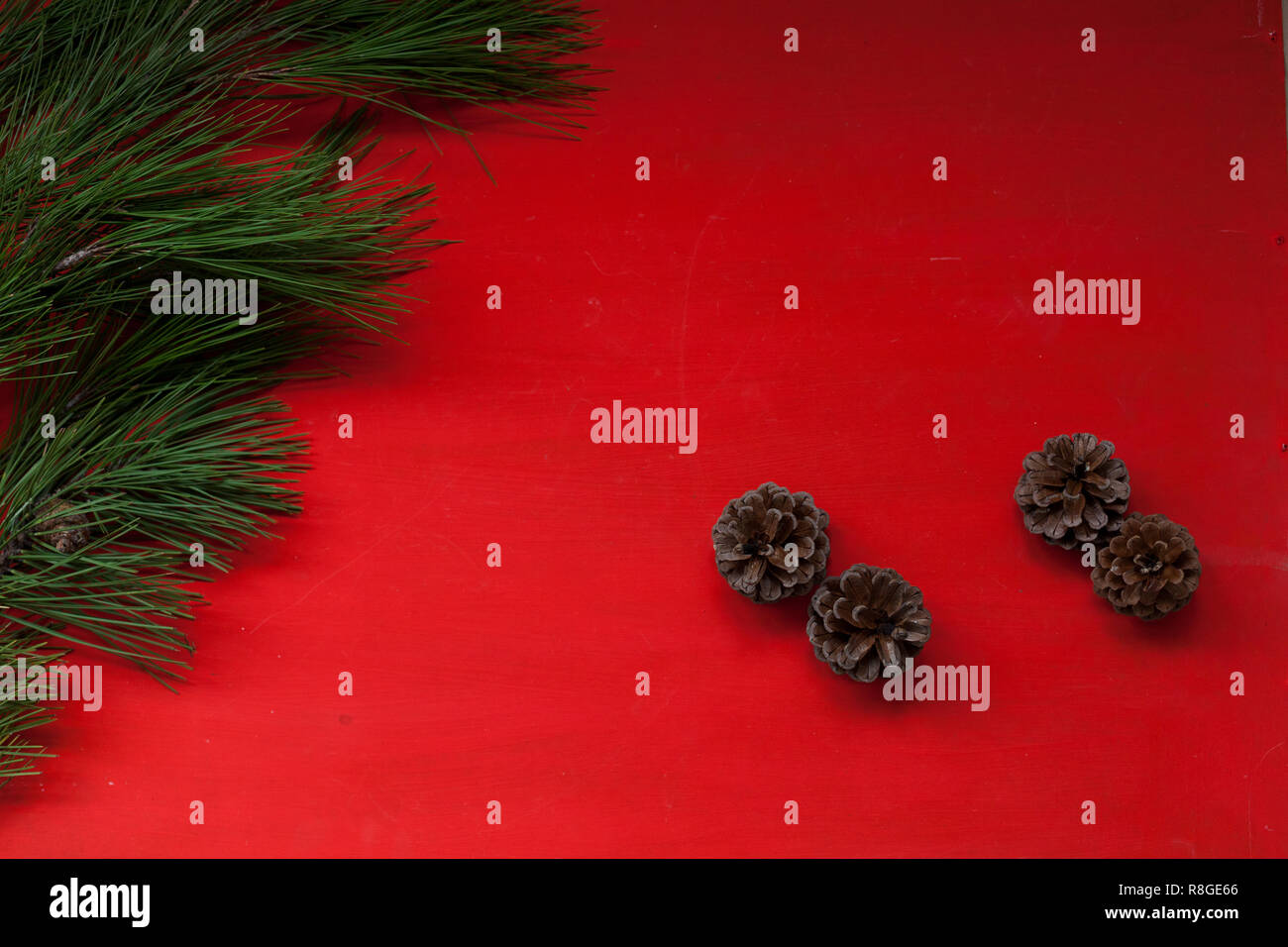 View of facade of Coco Chanel with christmas decoration Stock Photo - Alamy