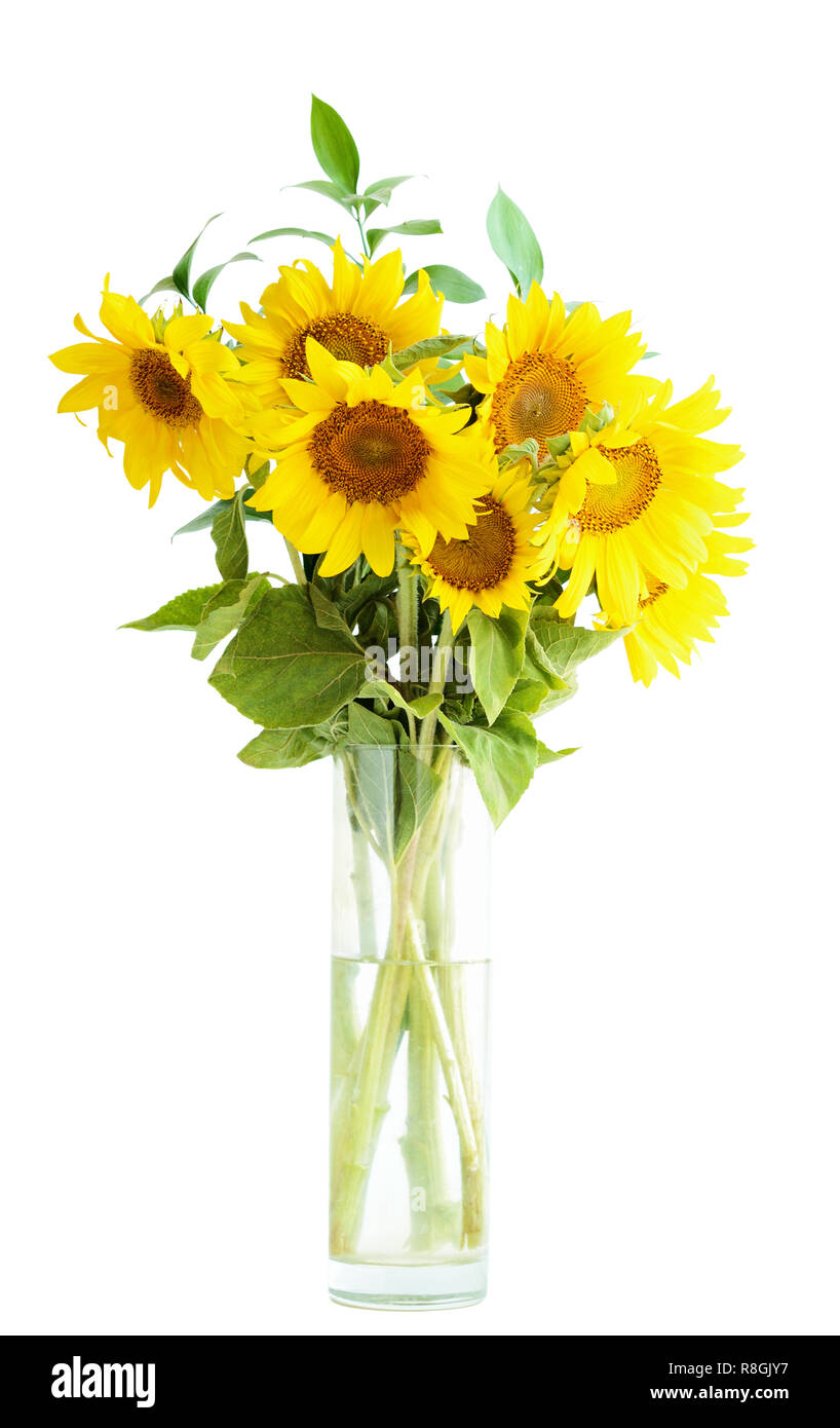 Sunflowers bouquet in a vase isolated on white Stock Photo - Alamy