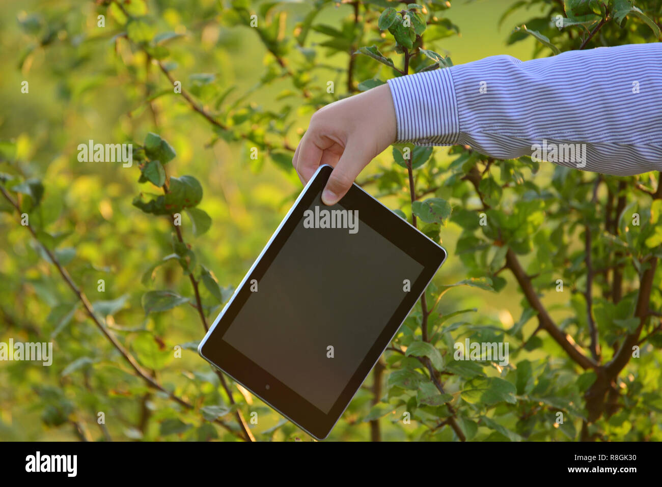 Tablet computer in  children's hand on nature Stock Photo