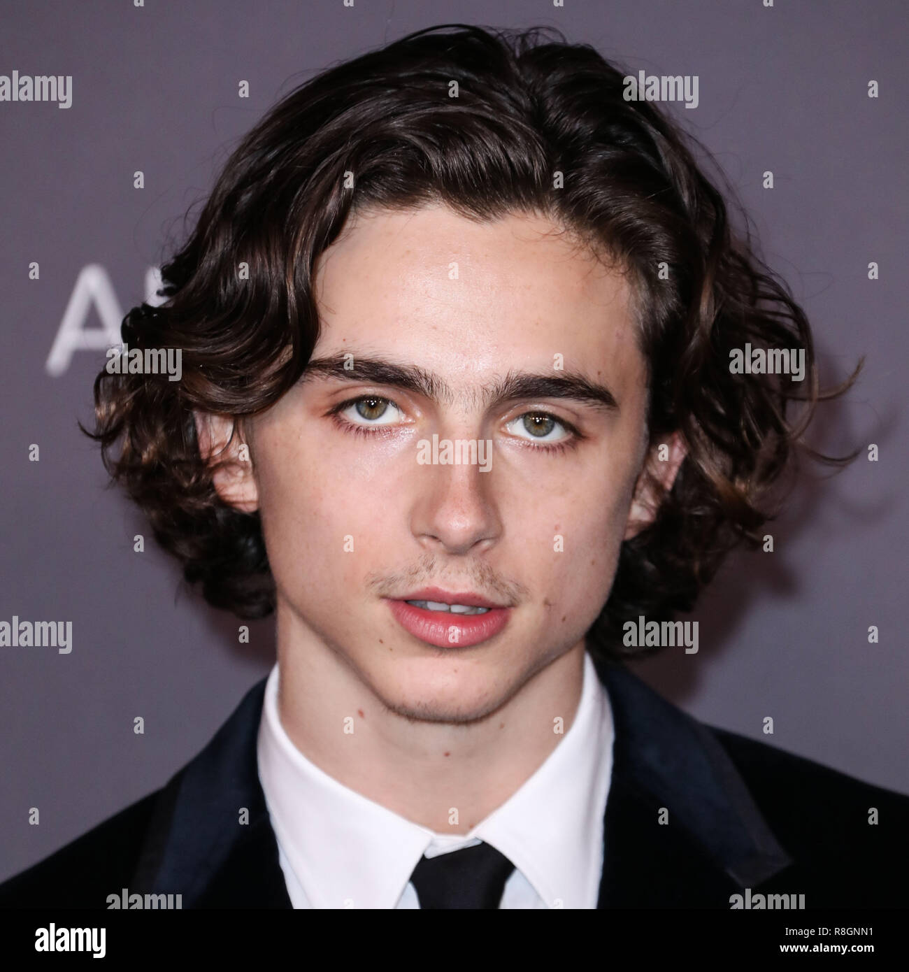 LOS ANGELES, CA, USA - NOVEMBER 04: Timothee Chalamet arrives at the ...