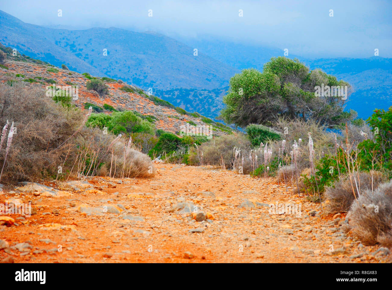 rocky path on a mountain near in Sissi on Crete in Greece Stock Photo