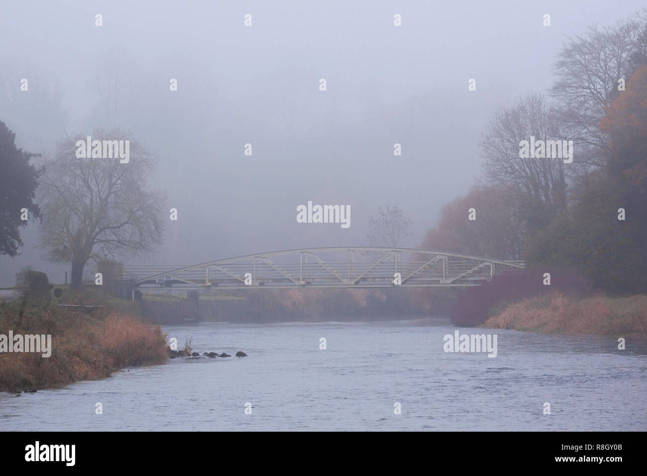 Bridge over the River Suir in early morning fog at Cahir Park, Cahir, Tipperary, Ireland Stock Photo