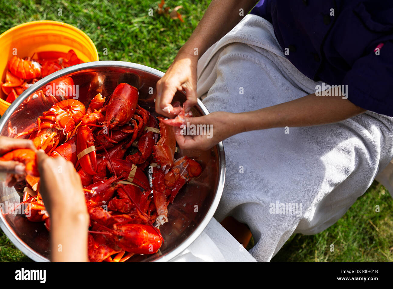 Women shucking fresh lobster in Freeport, Maine Stock Photo Alamy