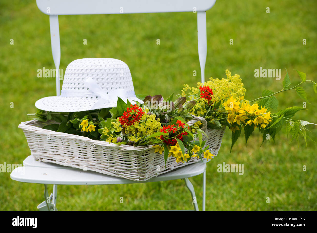 Gartenstuhl mit bunten Sommerblumen Stock Photo
