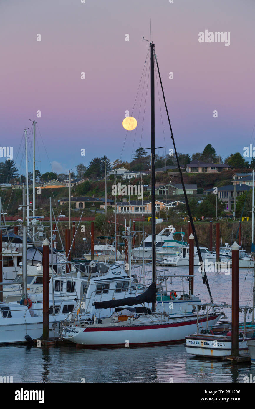 The full moon sets at sunrise over Brookings harbor in Brookings, Oregon. USA Stock Photo