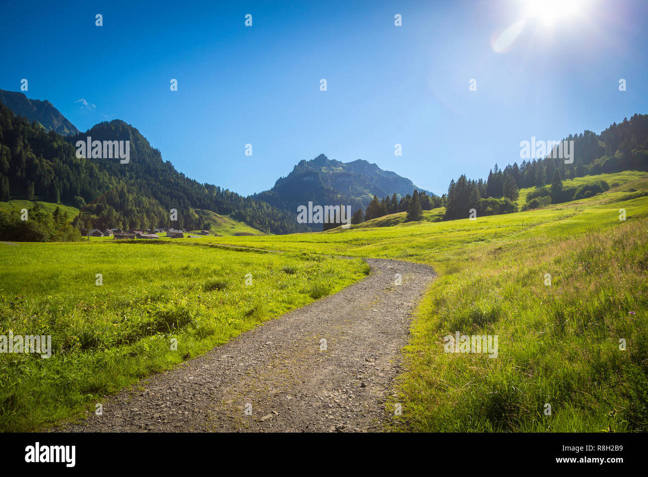 Wandern in Schönenbach im Bregenzerwald, Vorarlberg Stock Photo - Alamy