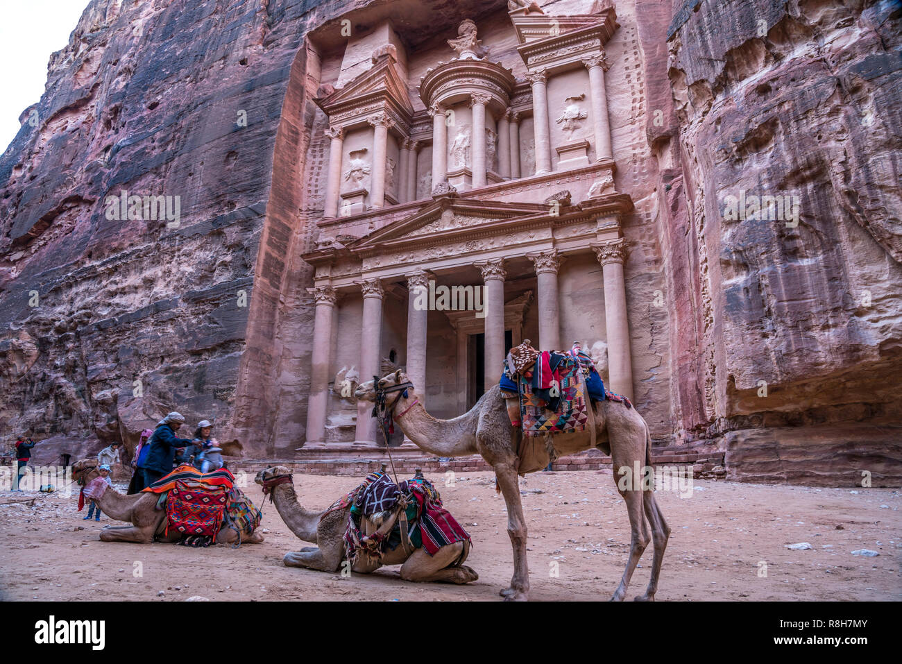 Kamele warten vor dem Schatzhaus des Pharao Khazne al-Firaun,  Petra, Jordanien, Asien |  camels waiting at the  Treasury  Al Khazneh,  Petra, Jordan, Stock Photo