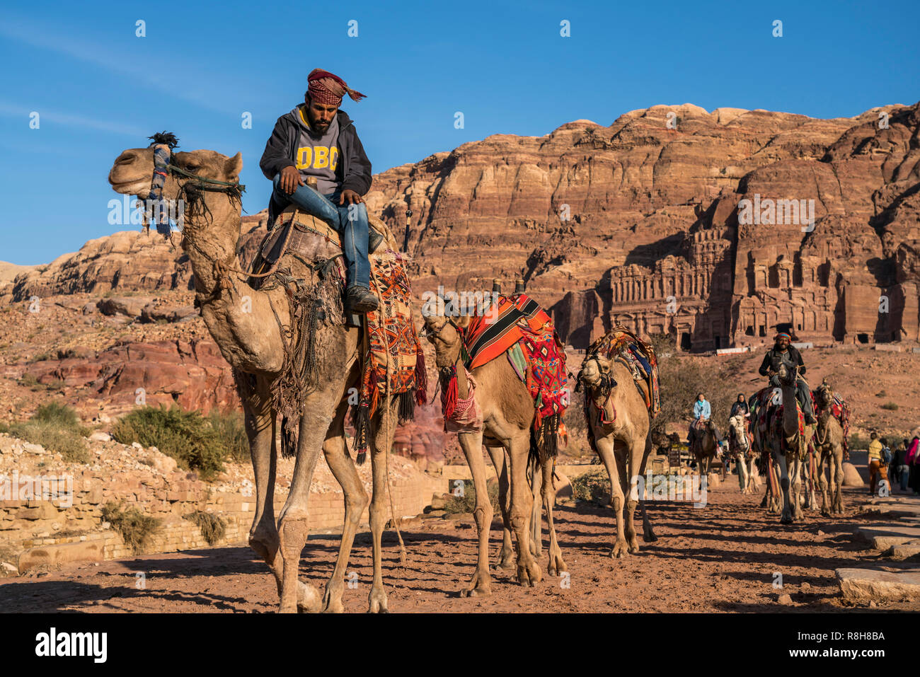 Kamele in der historischen Ruinenstätte Petra, Jordanien, Asien | Camels at the ancient city of Petra, Jordan, Asia Stock Photo