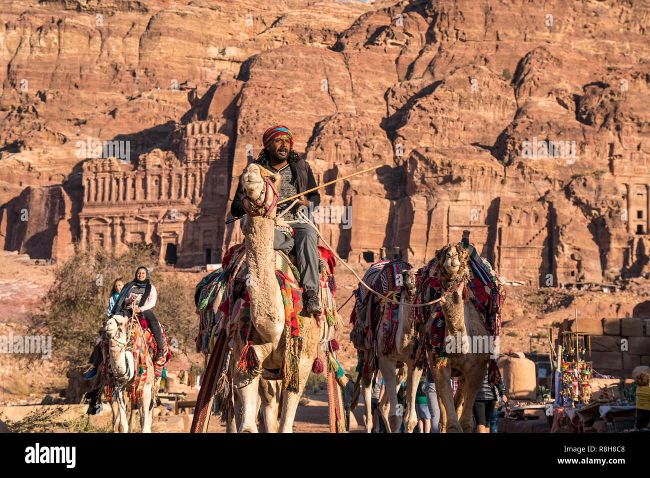 Kamele in der historischen Ruinenstätte Petra, Jordanien, Asien | Camels at the ancient city of Petra, Jordan, Asia Stock Photo