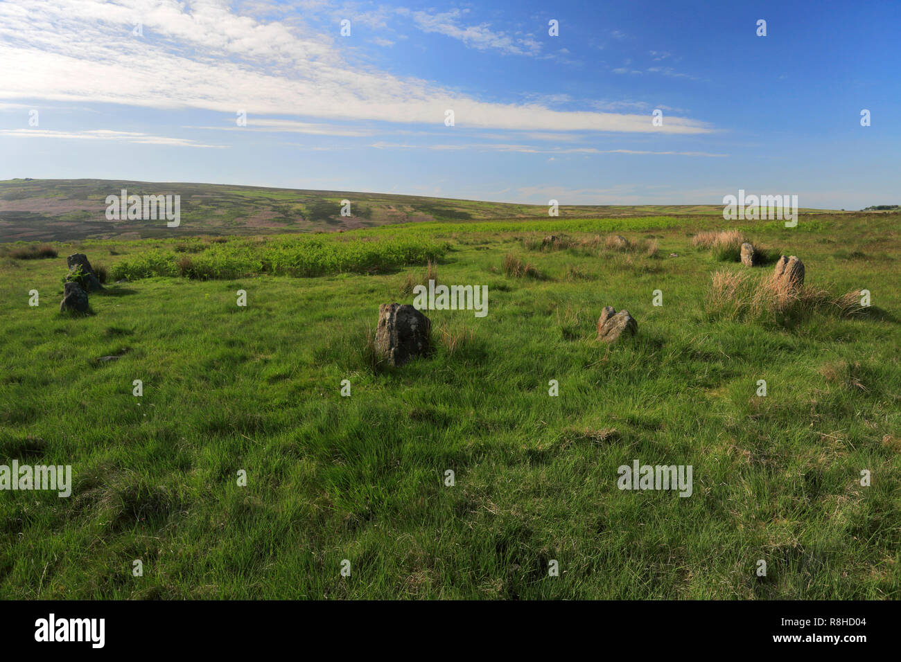 Summer, Hordron Edge Stone Circle, Hordron Edge, Peak District National Park, Derbyshire, England Stock Photo