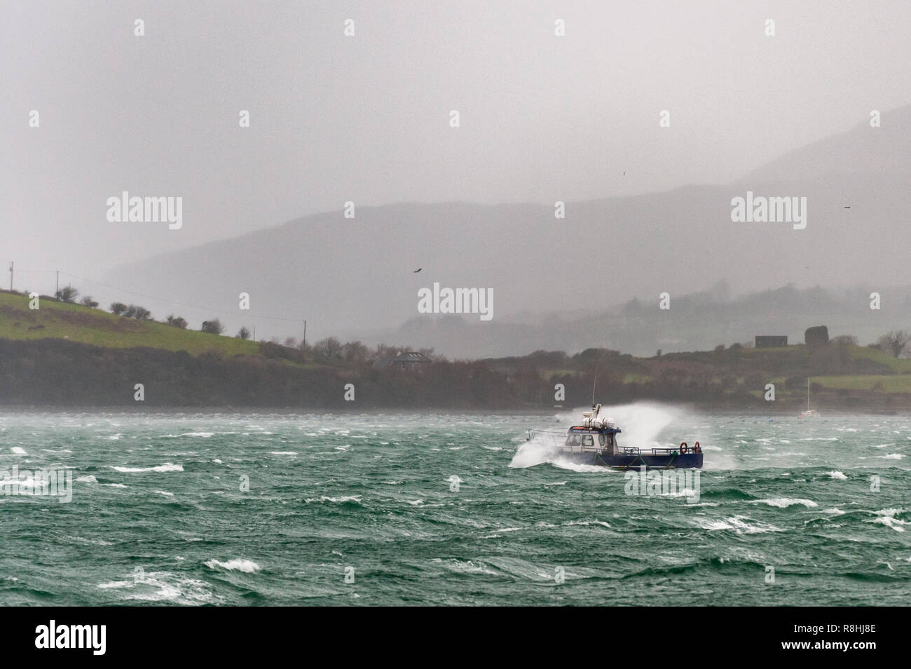 Bantry, West Cork, Ireland. 15th Dec, 2018. The Bantry to Whiddy Island ferry makes the trip in atrocious weather conditions during Storm Deirdre. The Orange Weather Warning for Wexford, Donegal, Cork and Waterford is in place until 10pm this evening. Credit: Andy Gibson/Alamy Live News. Stock Photo