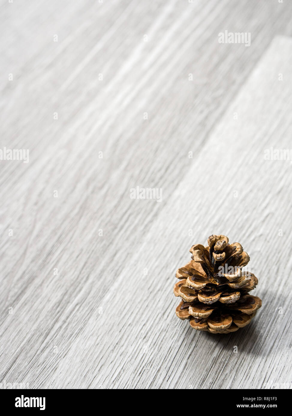 Corner cone hires stock photography and images Alamy