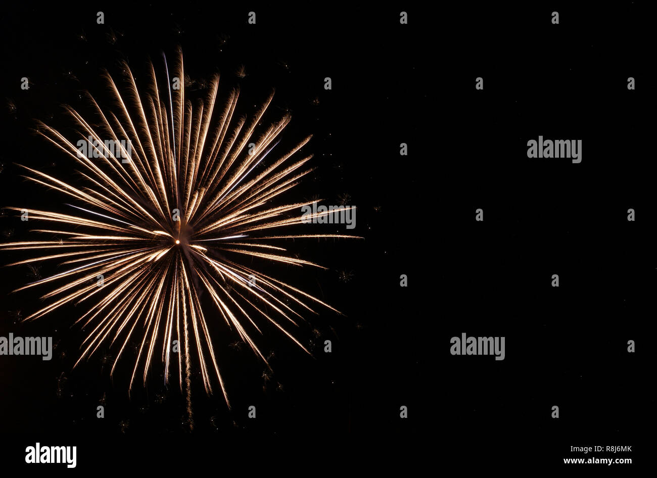 White starburst firework in black sky on the Fourth of July Stock Photo