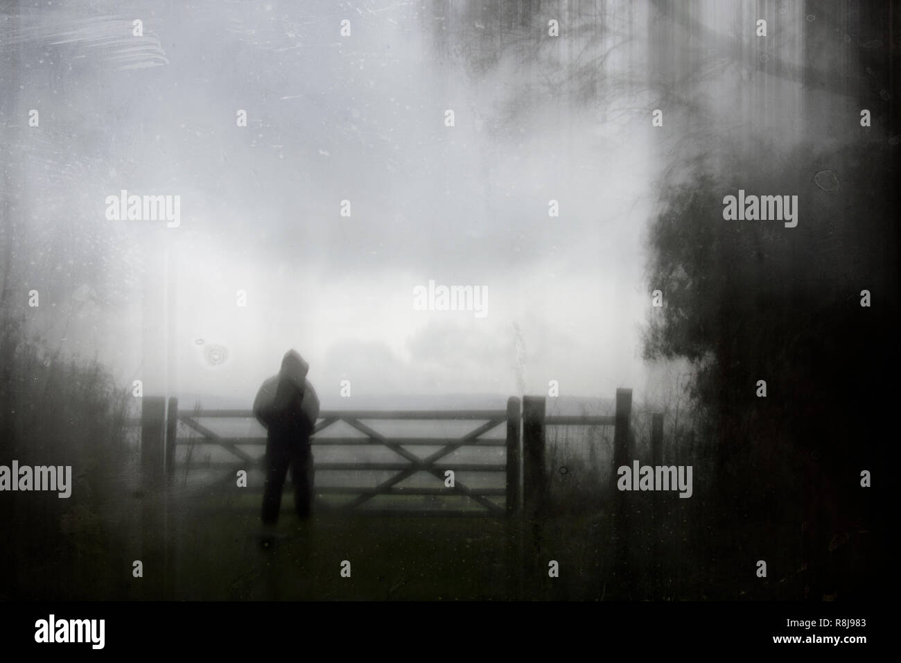 An eerie silhouette of a lone hooded figure by a gate surrounded by trees. With a dark, spooky blurred abstract, grunge effect edit. Stock Photo