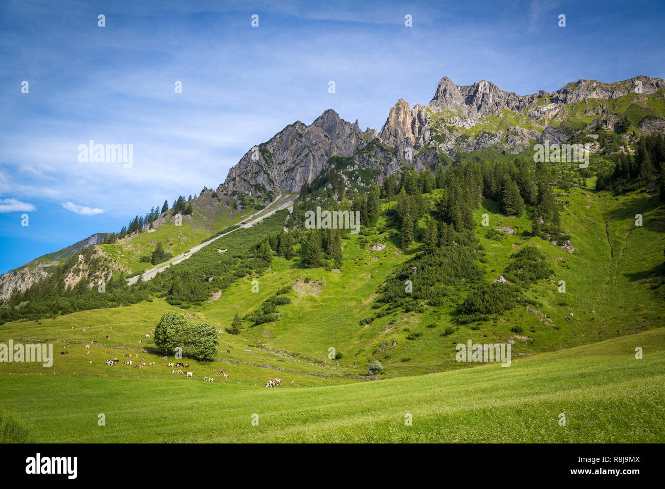 Berglandschaft bei Stuben am Arlberg, Vorarlberg, Österreich Stock Photo