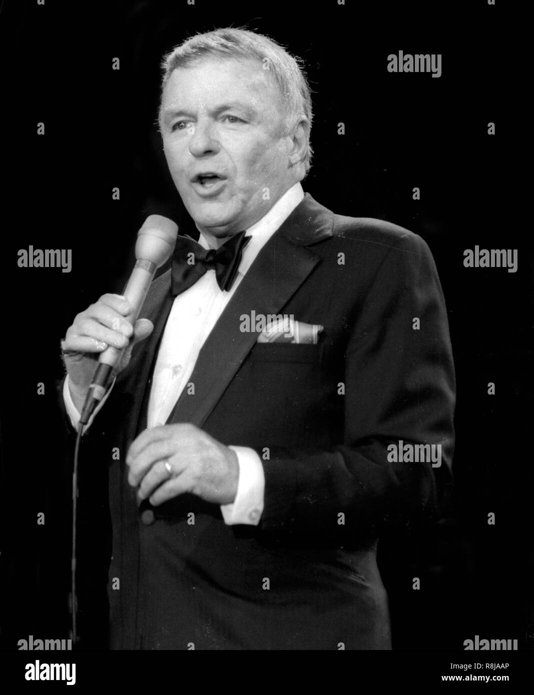 Frank Sinatra 1981 Photo By Adam Scull/PHOTOlink/MediaPunch Stock Photo ...