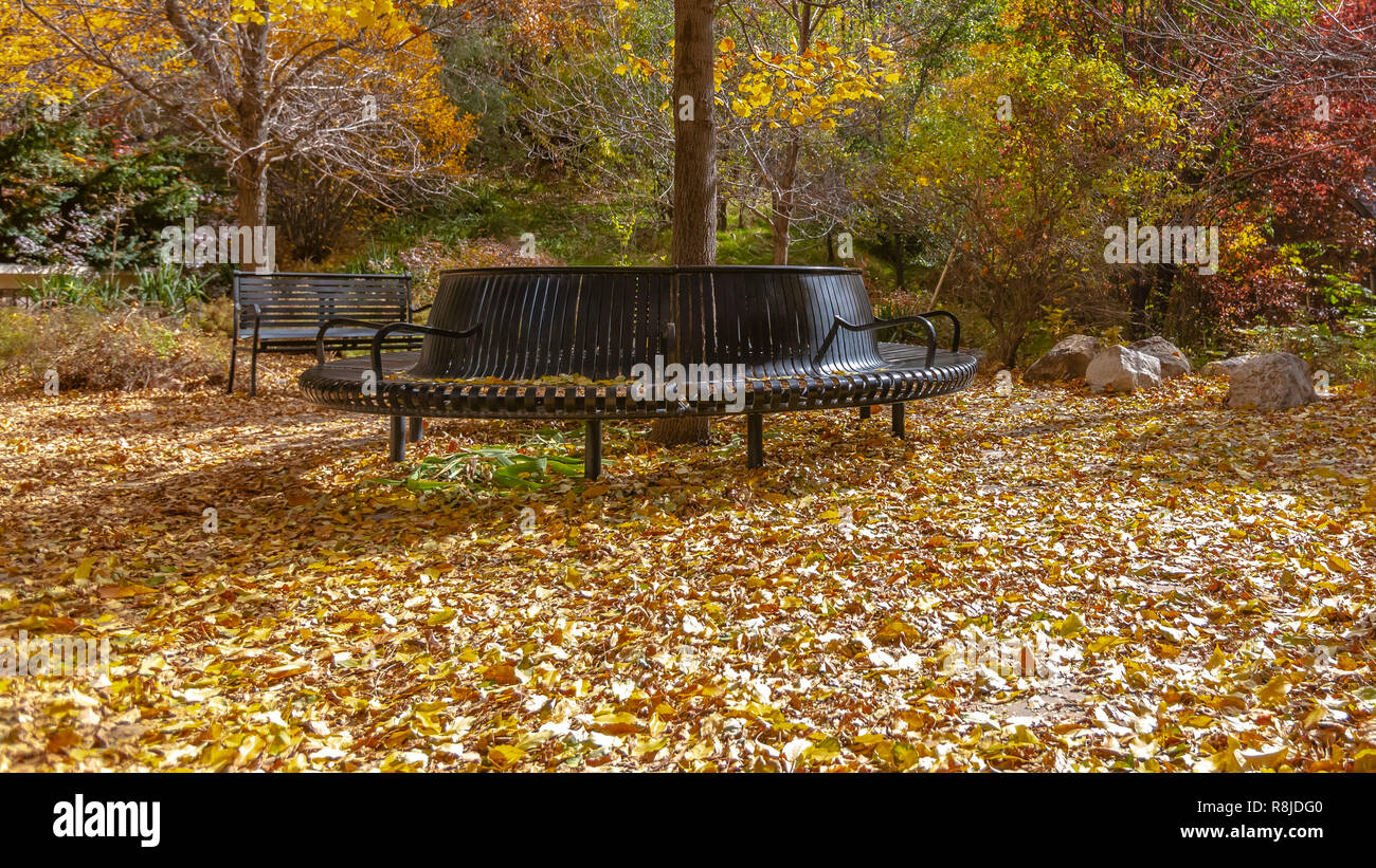 Golden leaves on ground hi-res stock photography and images - Alamy